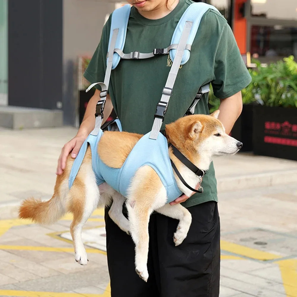 Sac à dos et sac de transport pour animaux de compagnie - Chiens et chats