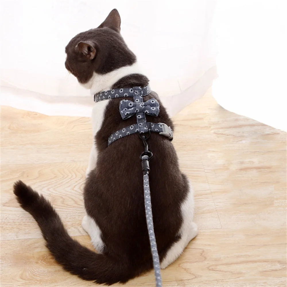 Floral Print Harness & Leash Set for Cats & Small Dogs