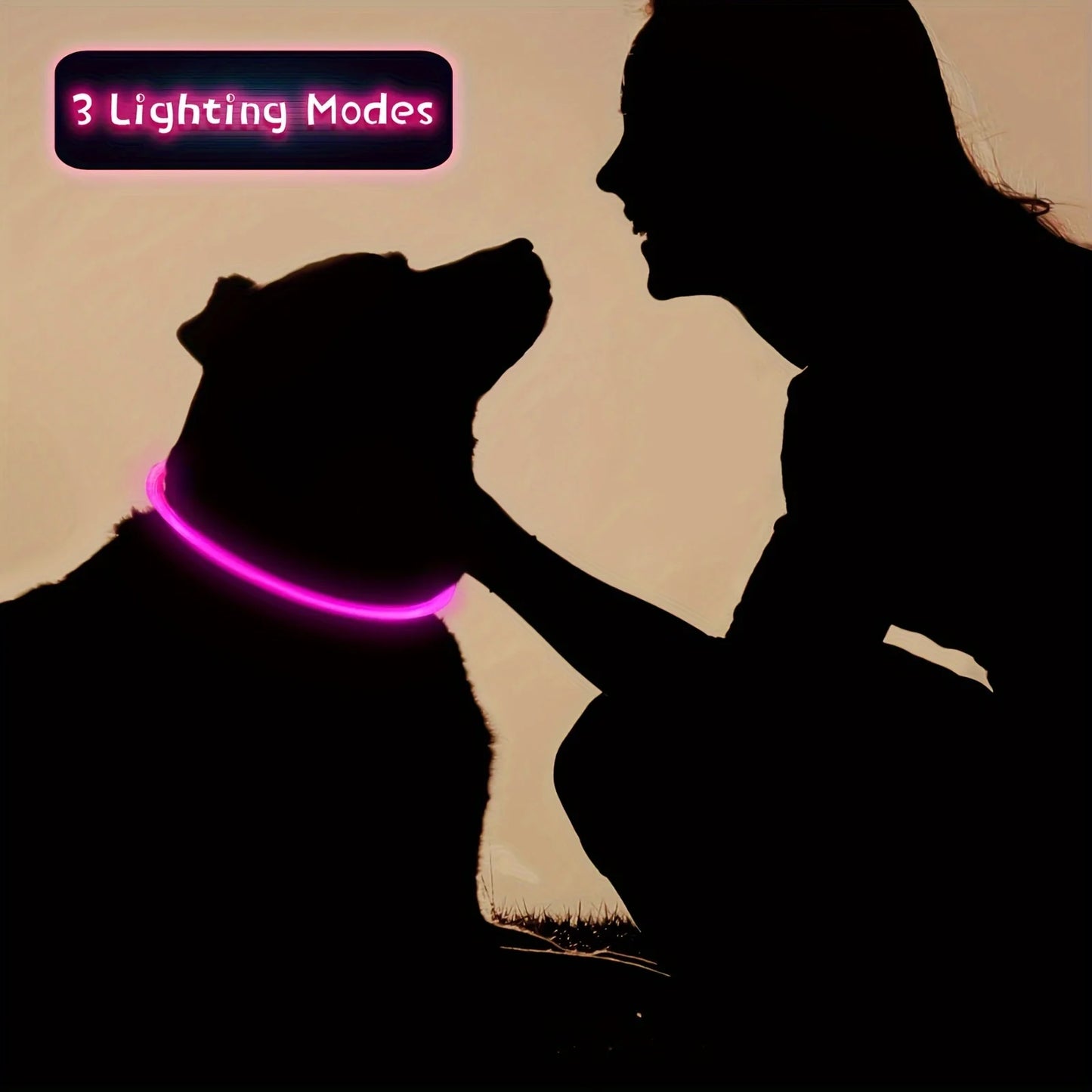 Collier lumineux LED pour chien - Collier de sécurité rechargeable par USB pour une visibilité nocturne
