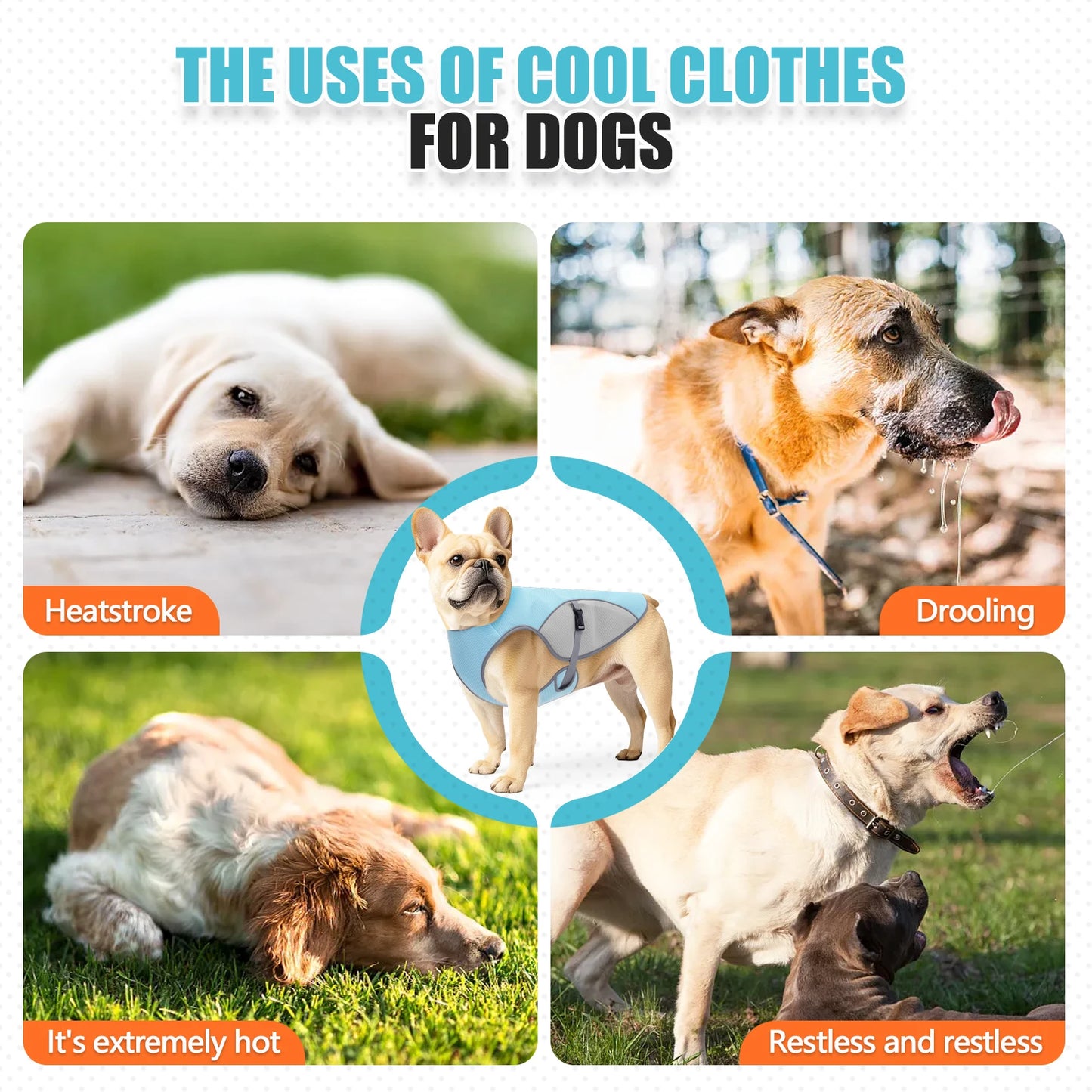 Dog Cooling Vest & Reflective Harness Jacket