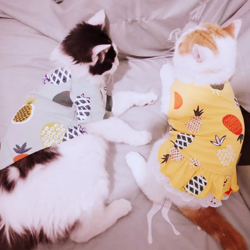 Cotton Print Dress for Cats & Small Dogs