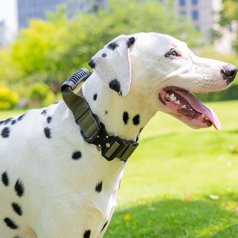 Heavy Duty Tactical Dog Collar with Handle — Metal Buckle Training Collar for Medium & Large Dogs