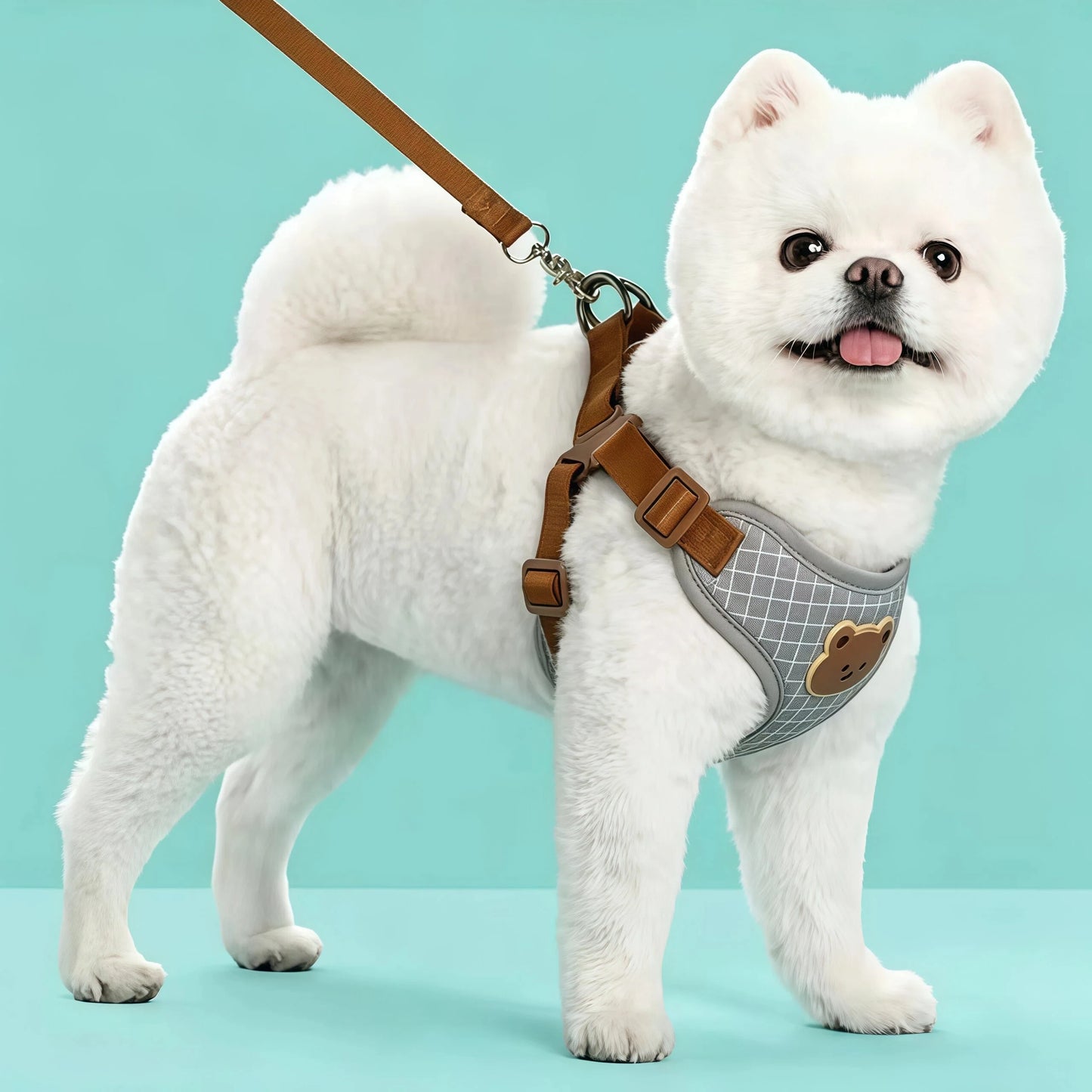 Breathable Vest Harness & Lead Set for Small Dogs & Cats