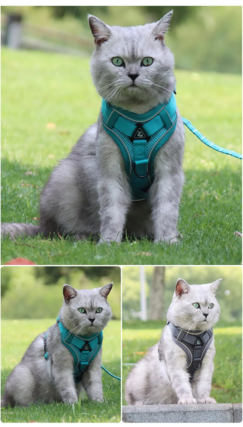 Reflective Mesh Cat & Dog Harness with Leash Set