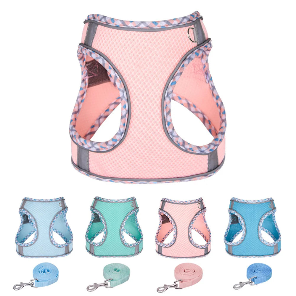 Reflective Mesh Harness & Leash Set for Cats & Small Dogs