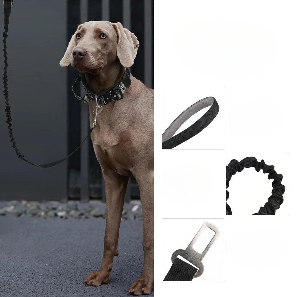 Heavy-Duty Bungee No-Pull Training Leash for Large Dogs