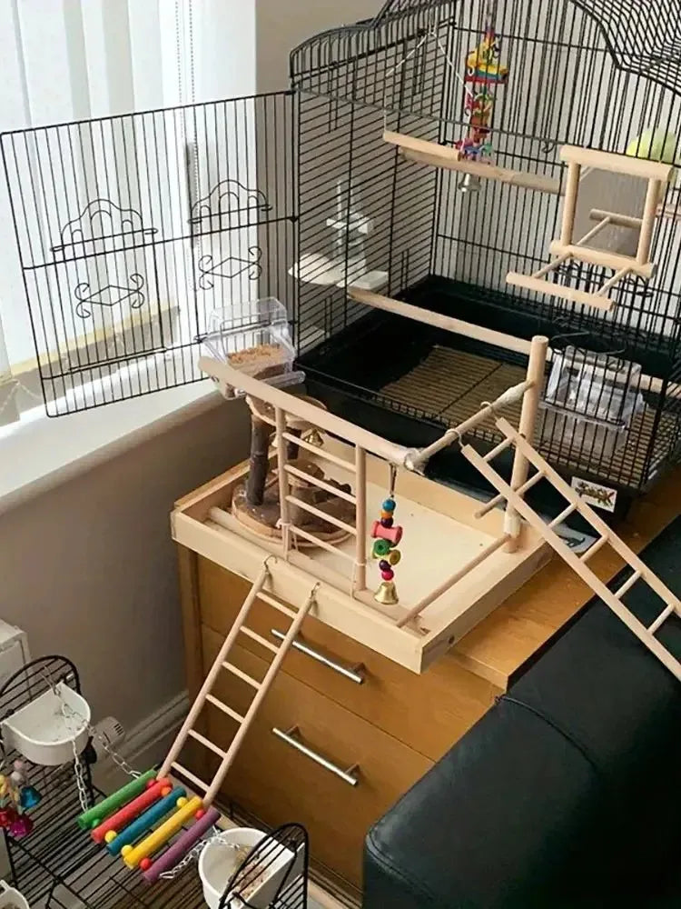 Perchoir suspendu en bois de pin naturel pour oiseaux, perroquets et hamsters