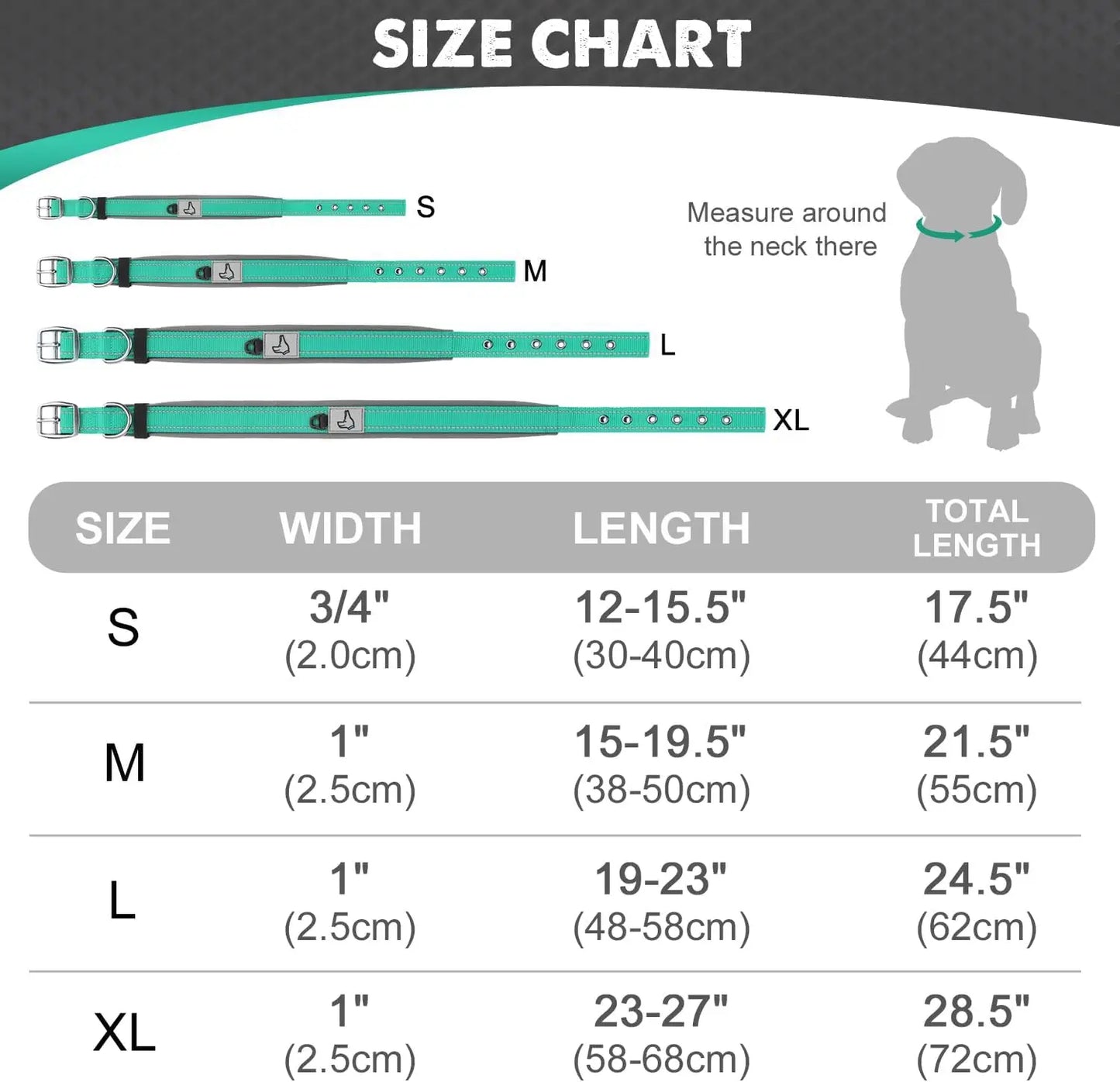 Padded Reflective Nylon Dog Collar – Adjustable for Small, Medium & Large Dogs