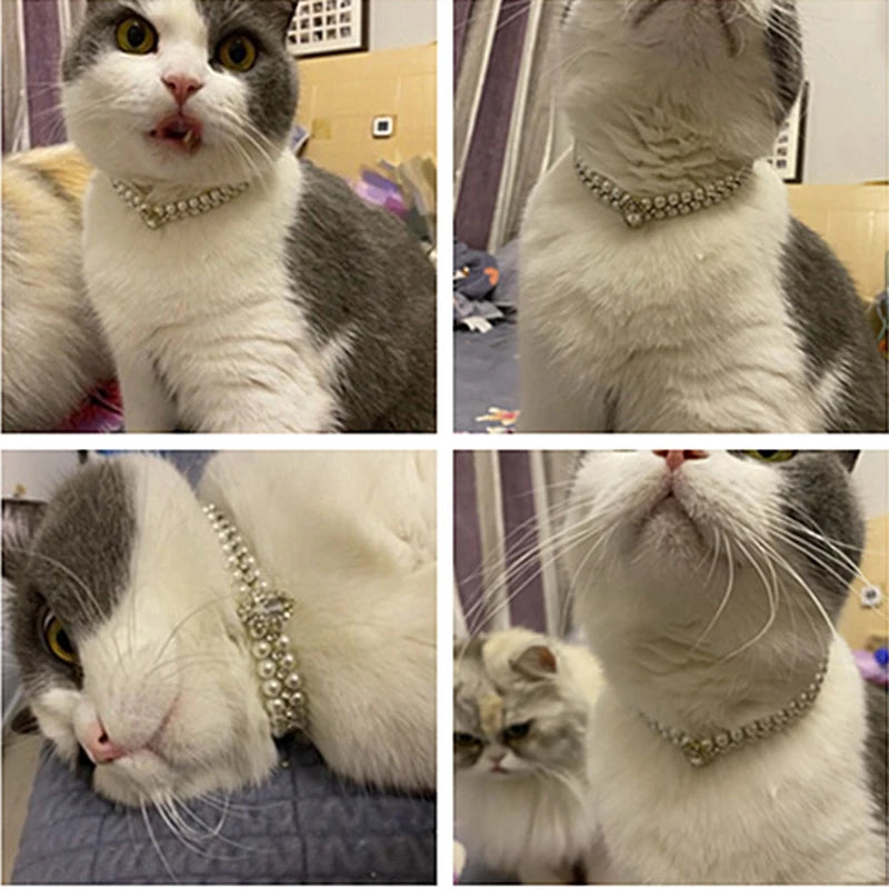 Rhinestone & Pearl Cat Collar Necklace