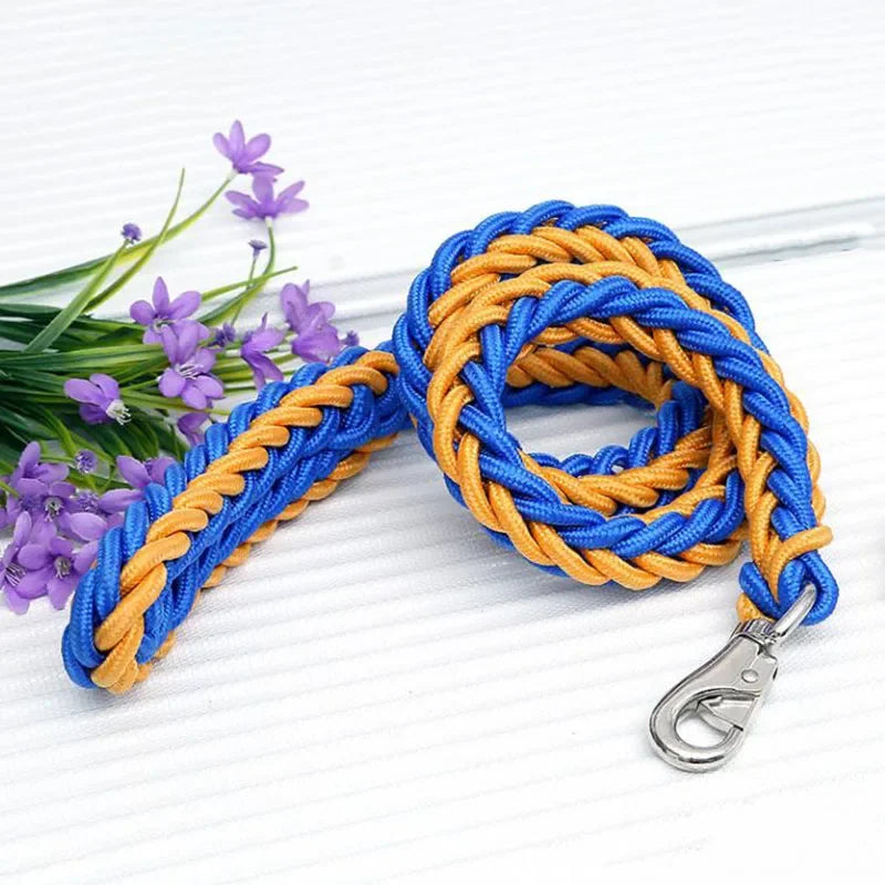 Heavy Duty Nylon Dog Leash & Collar Set - 130cm