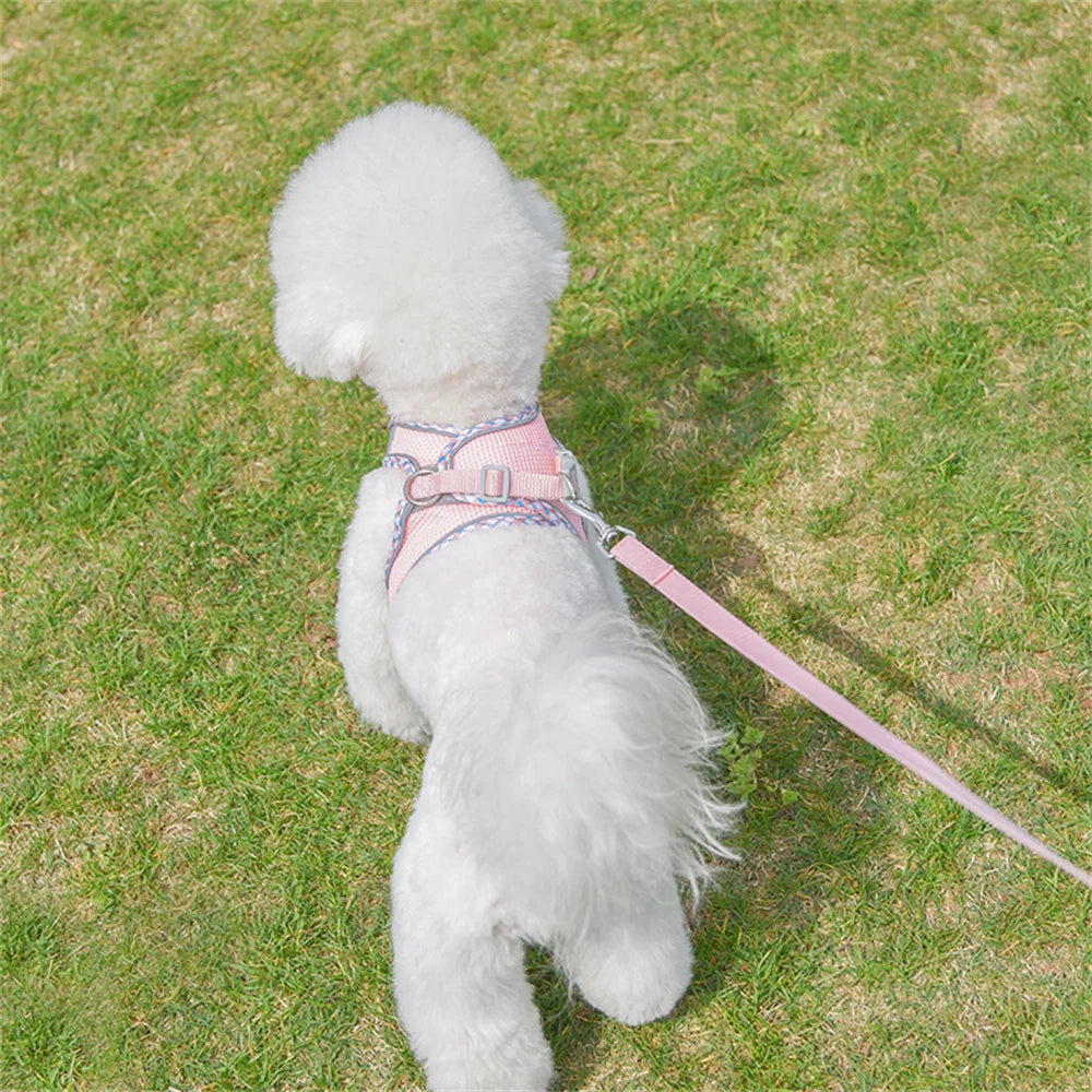 Reflective Mesh Harness & Leash Set for Cats & Small Dogs
