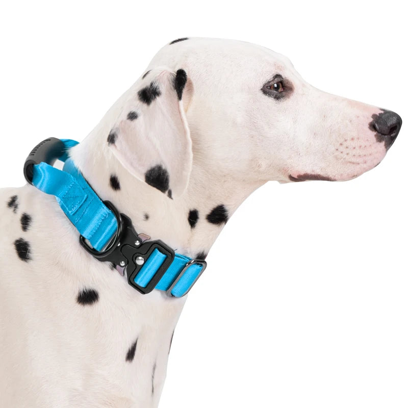 Heavy Duty Tactical Dog Collar with Handle — Metal Buckle Training Collar for Medium & Large Dogs