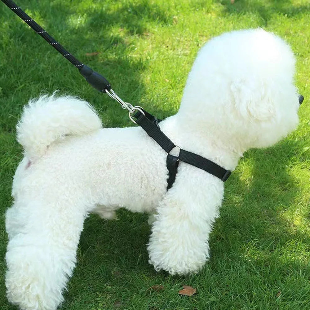 Adjustable Dog Chest Harness – Vest Style Walk Harness