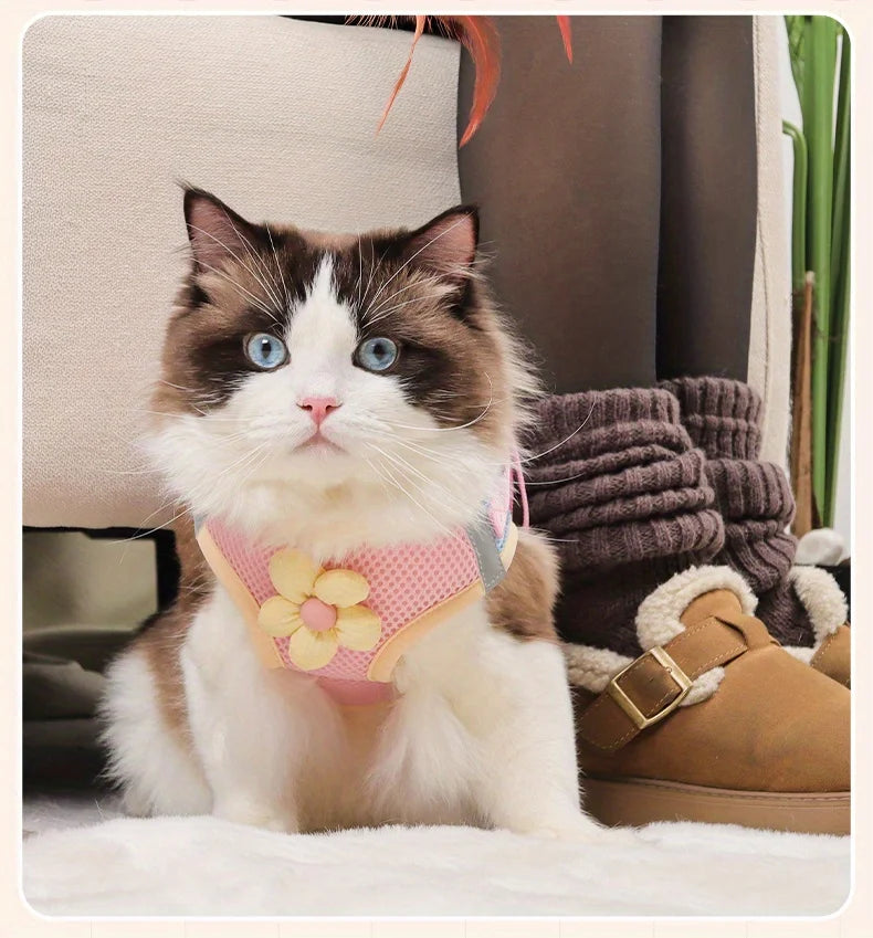 Breathable Mesh Pet Harness and Leash Set