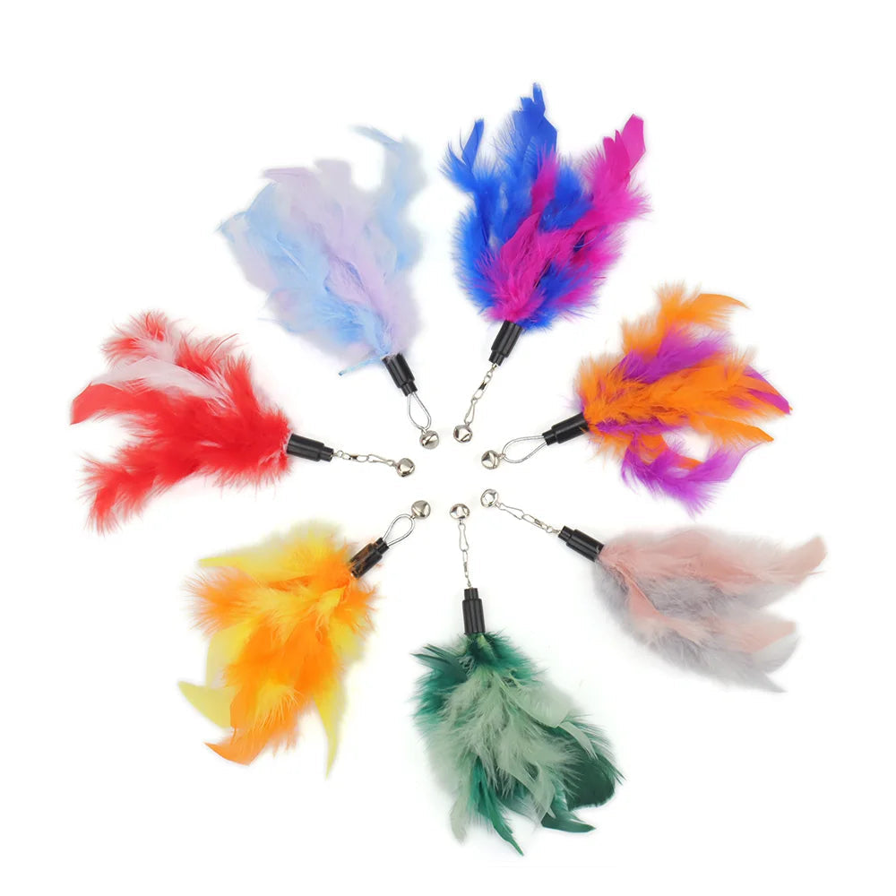 Bright Colour Feather Cat Teaser Replacement Pack (5 Pcs Random Mix)