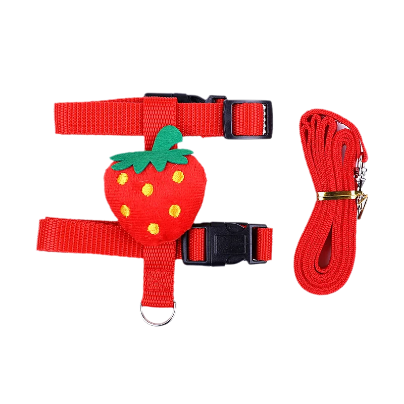 Cartoon Print Harness & Leash Set for Rabbits, Guinea Pigs & Small Pets