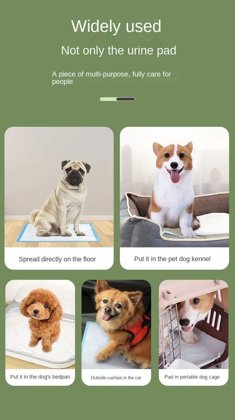 Super Absorbent Disposable Puppy Training Pads — Quick-Dry Surface for Fast, Clean Results