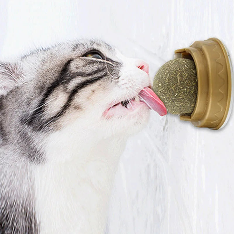 Natural Catnip Wall Ball