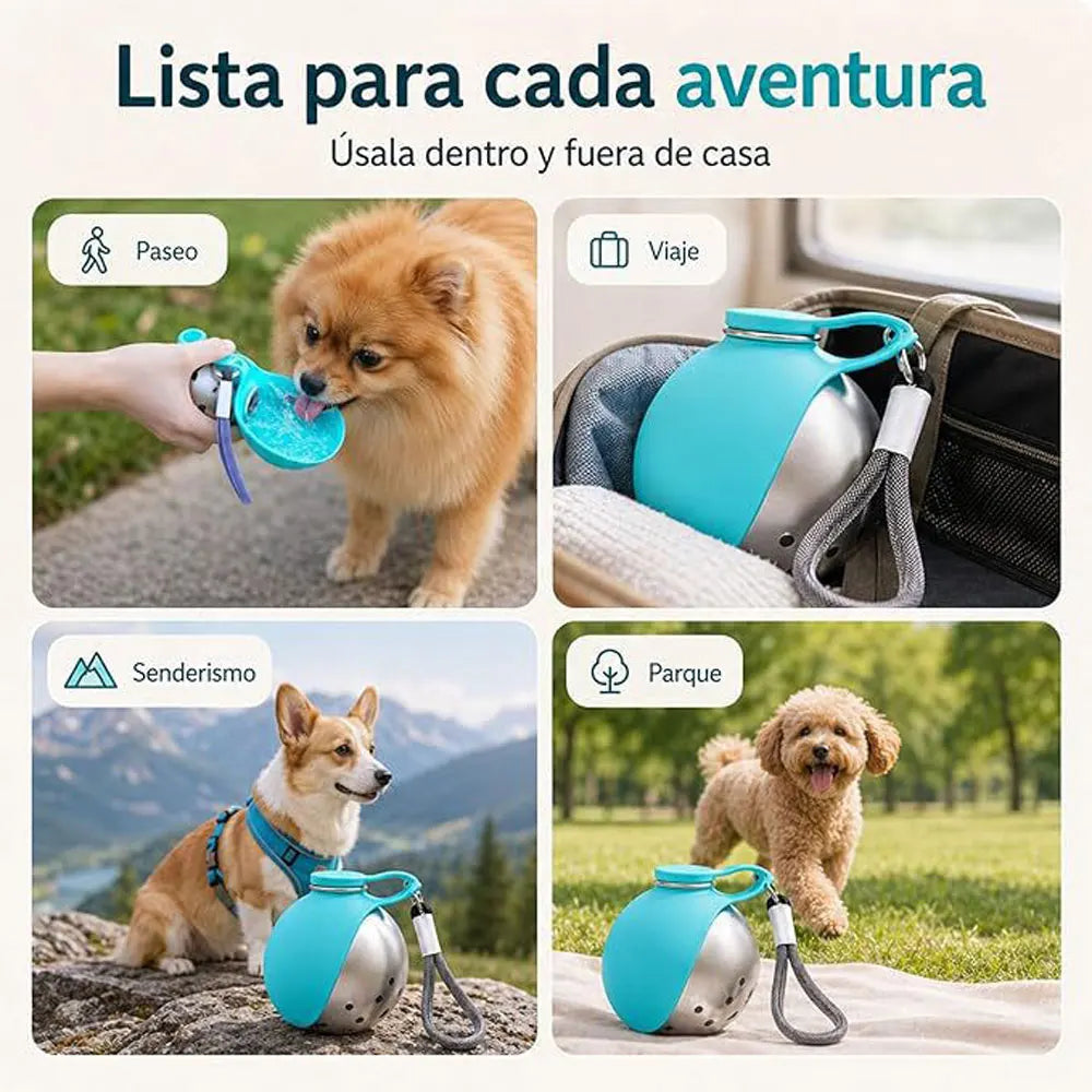 Portable Stainless Steel Water Dispenser for Dogs