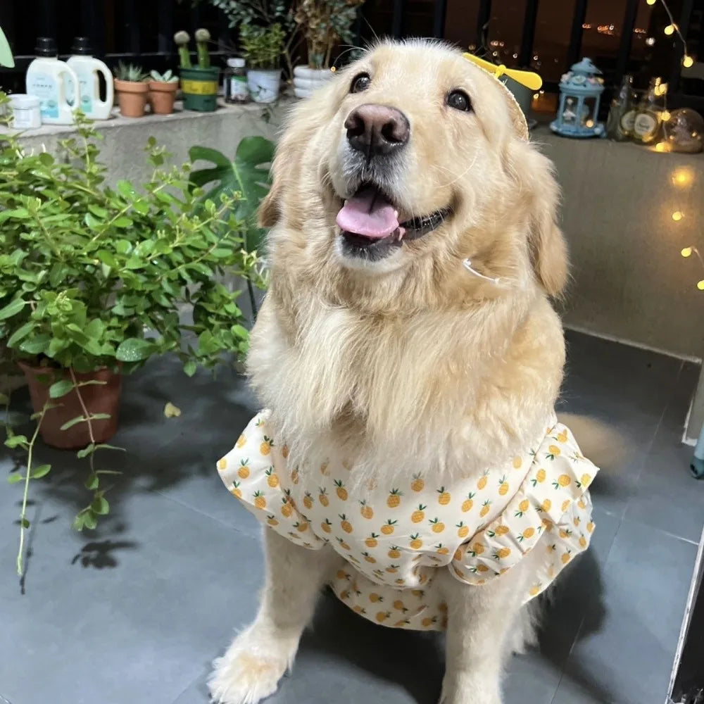 Robe de princesse rafraîchissante et gilet d'été pour chiens de taille moyenne et grande