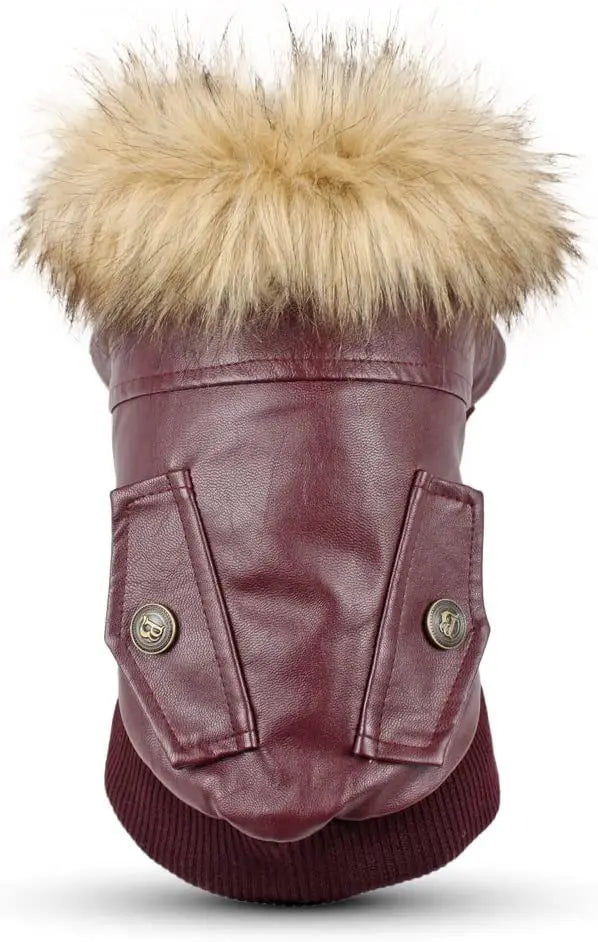 Waterproof Dog Winter Coat - Warm Jacket for Small to Medium Dogs