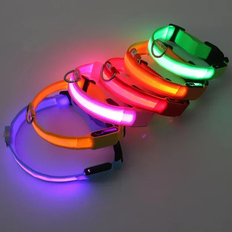 Collier lumineux LED pour chien - Réglable, clignotant, rechargeable - Collier lumineux pour la sécurité nocturne - Harnais lumineux anti-perte pour chien