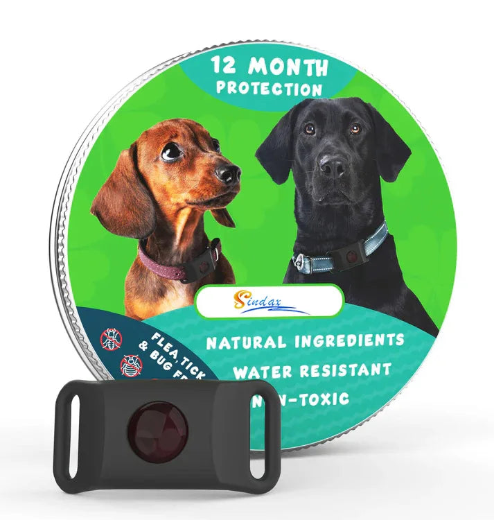 Natural Essential Oil Flea & Tick Collar Pendant – Chemical-Free Protection for Dogs & Cats