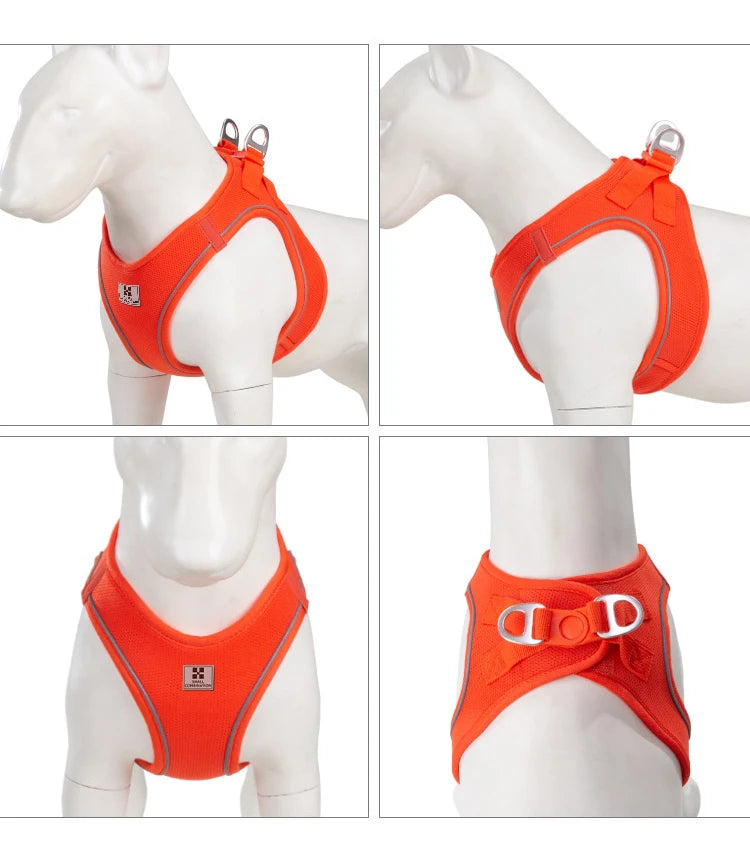 Reflective Dog & Cat Harness with Leash Set