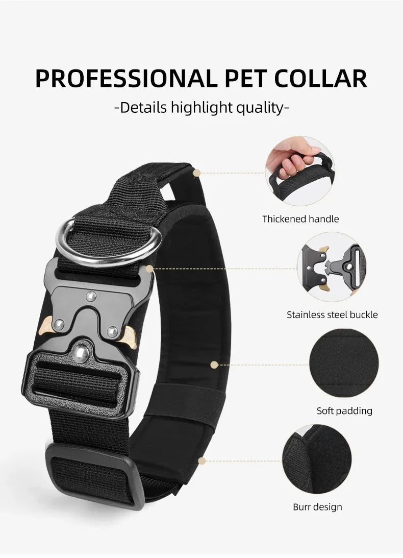 Ensemble complet collier et harnais pour chien avec laisse