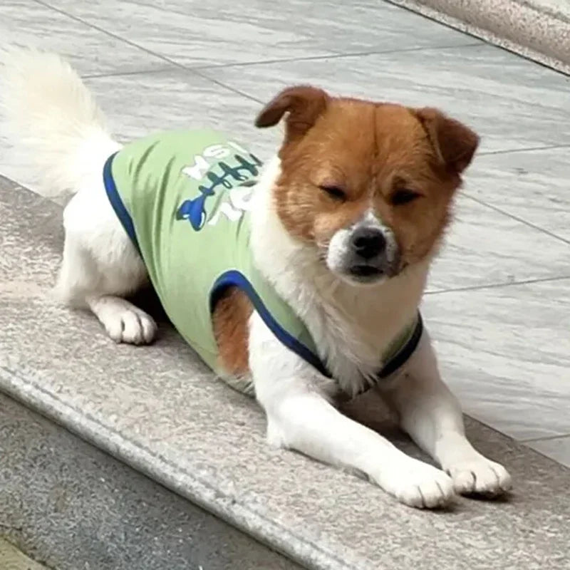 Summer Cotton Vest for Cats & Small Dogs