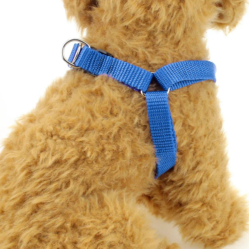 Adjustable Dog Chest Harness – Vest Style Walk Harness
