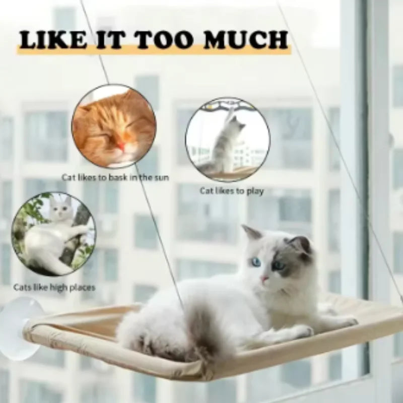 Cat Window Hammock