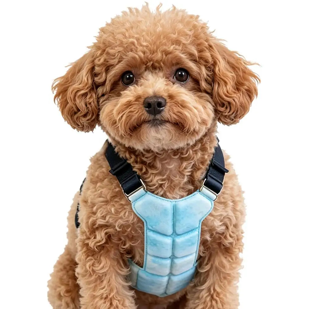 Lightweight Dog Cooling Harness Vest for Walking, Camping & Training