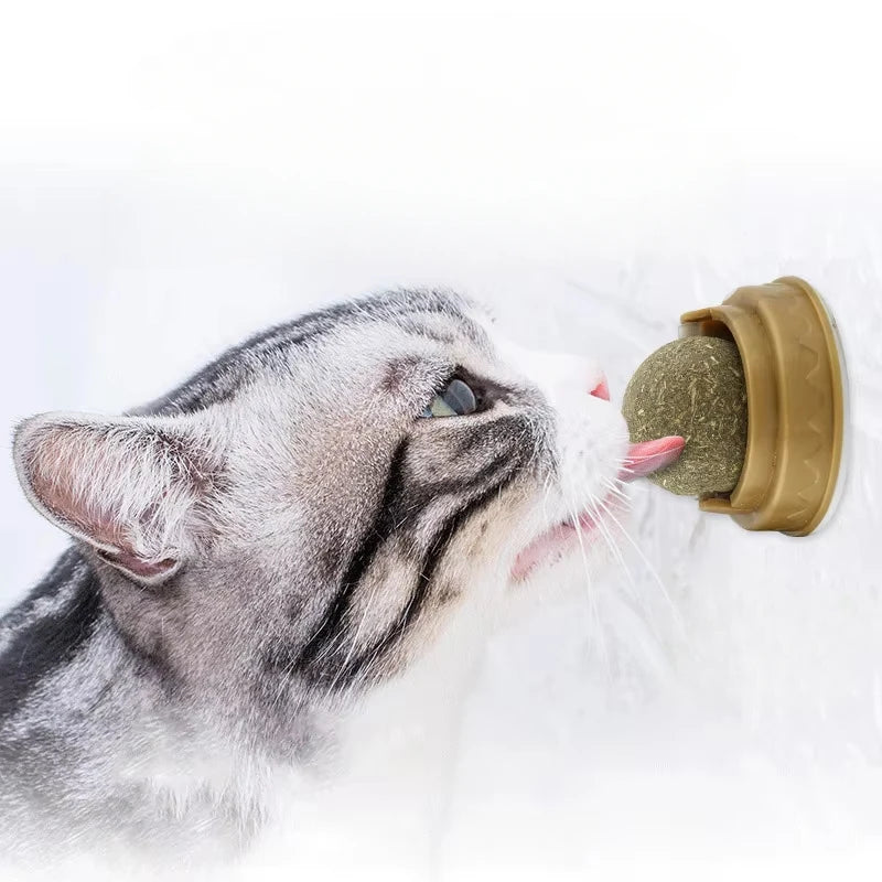 Natural Catnip Wall Ball