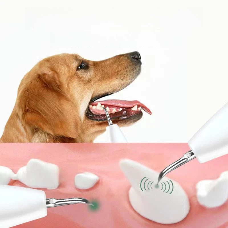 Sonic Pet Dental Cleaner – Plaque & Calculus Remover for Dogs & Cats with LED Light