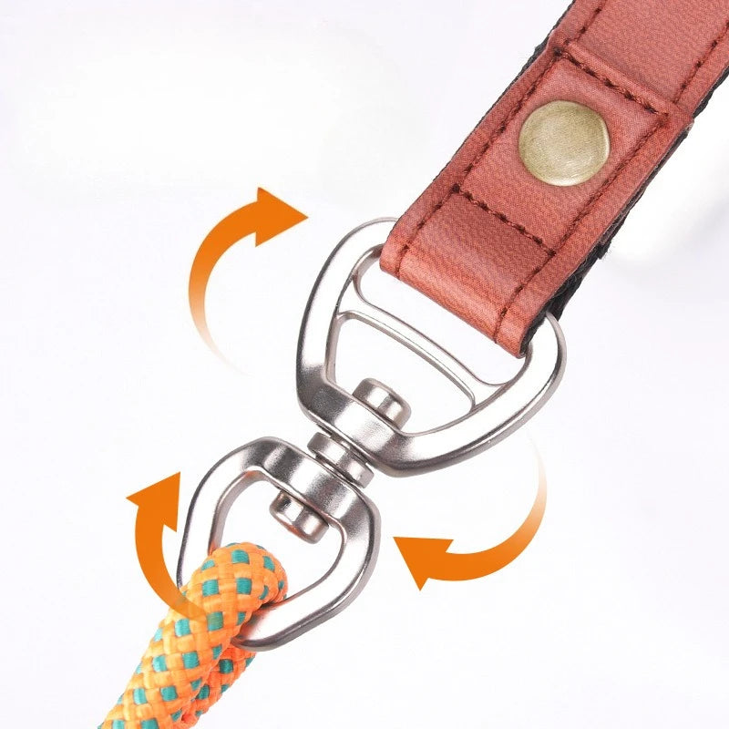 Laisse-collier étrangleur anti-nœuds réglable pour petits chiens