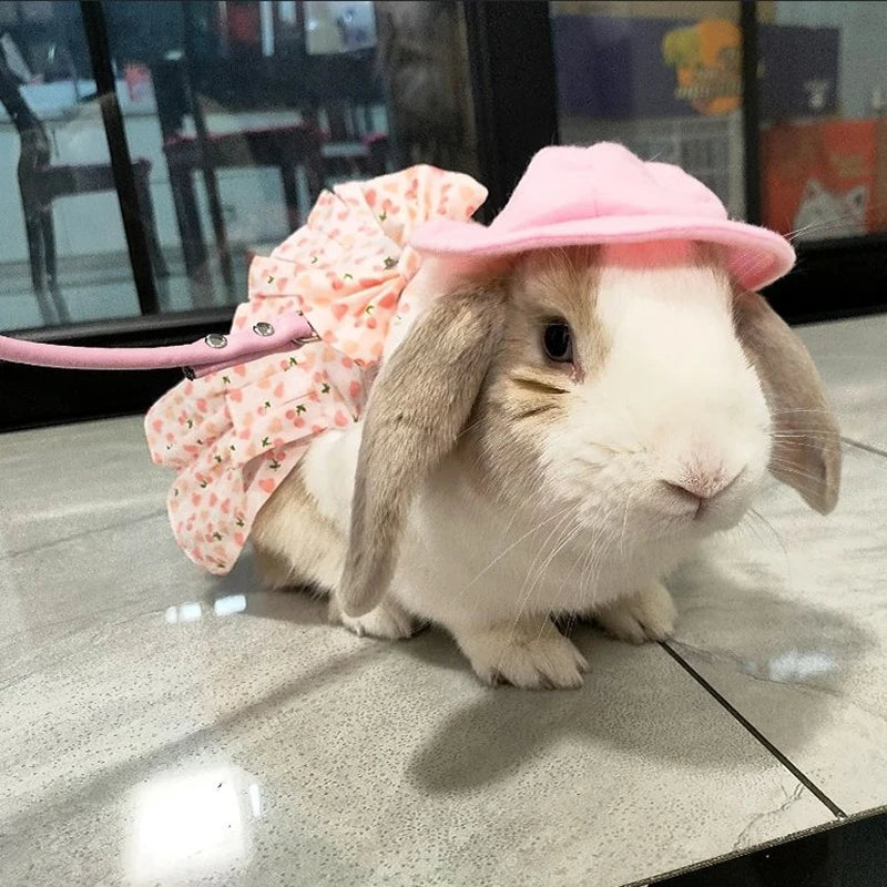 Floral Cotton Dress & Harness Set for Rabbits & Small Pets