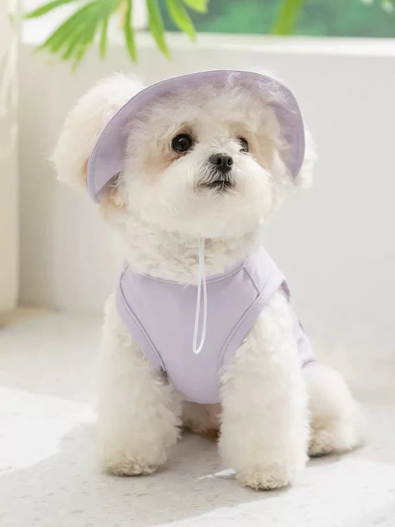 Summer Cooling Vest & Cap Set for Dogs & Cats