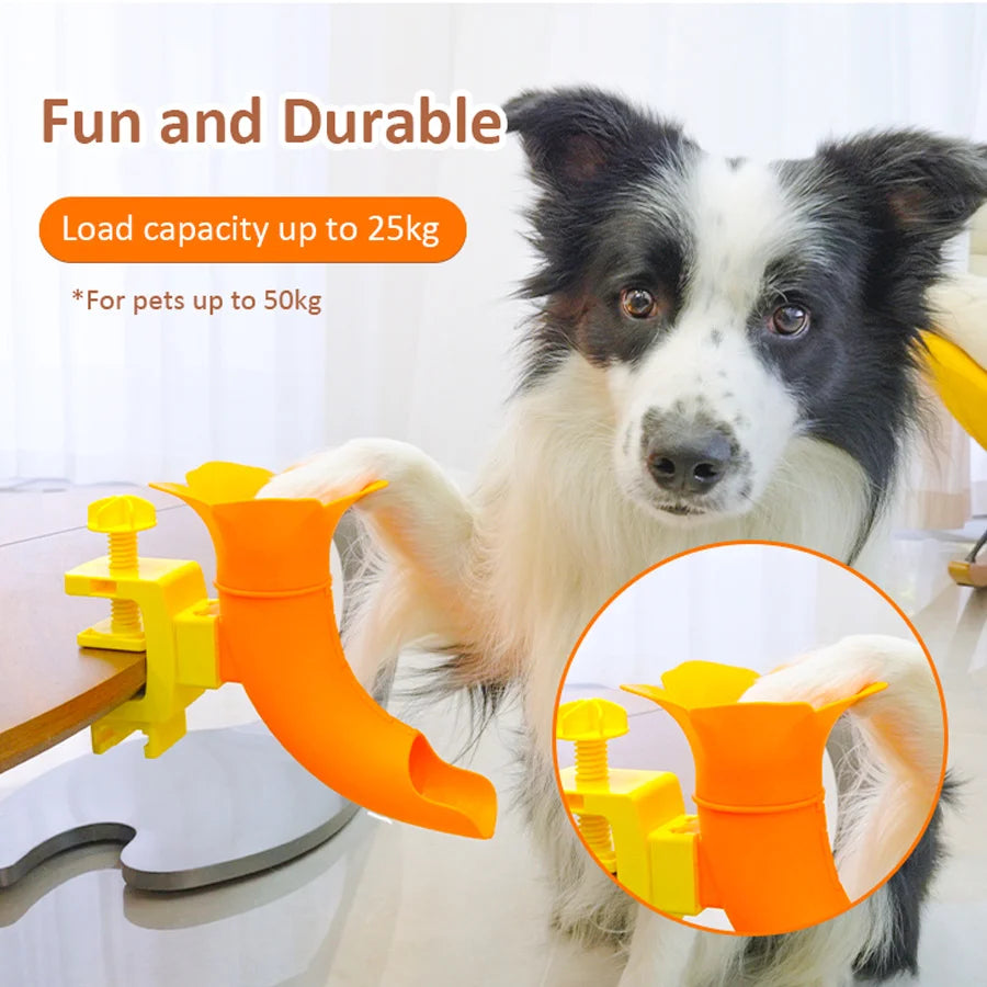 Table-Clip Dog Ball Return Toy