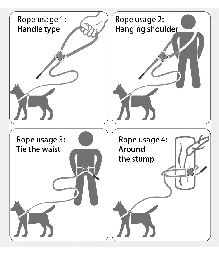 Reflective Dog & Cat Harness with Leash Set