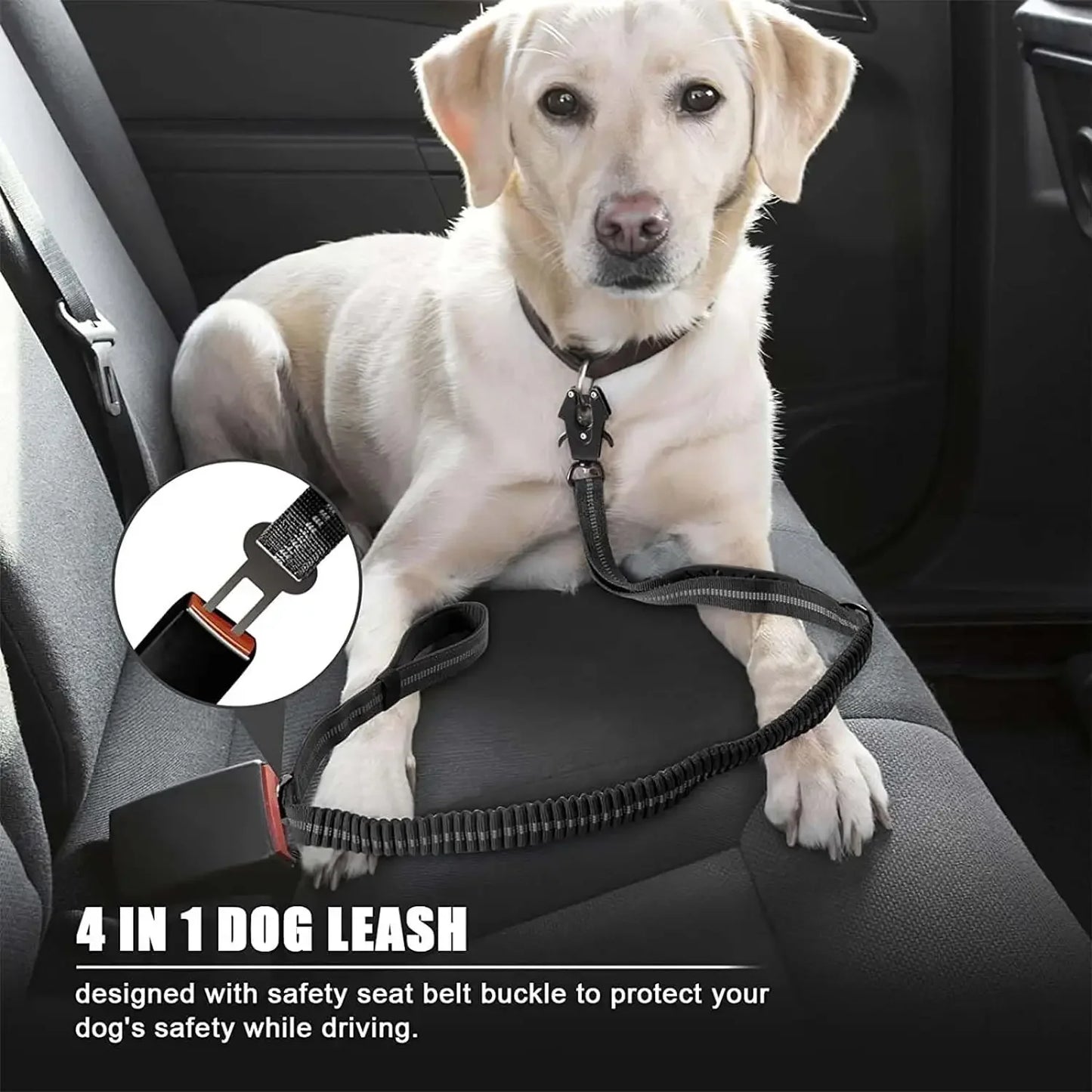 Reflective Bungee Dog Leash - Heavy Duty No-Pull Lead with Car Seatbelt