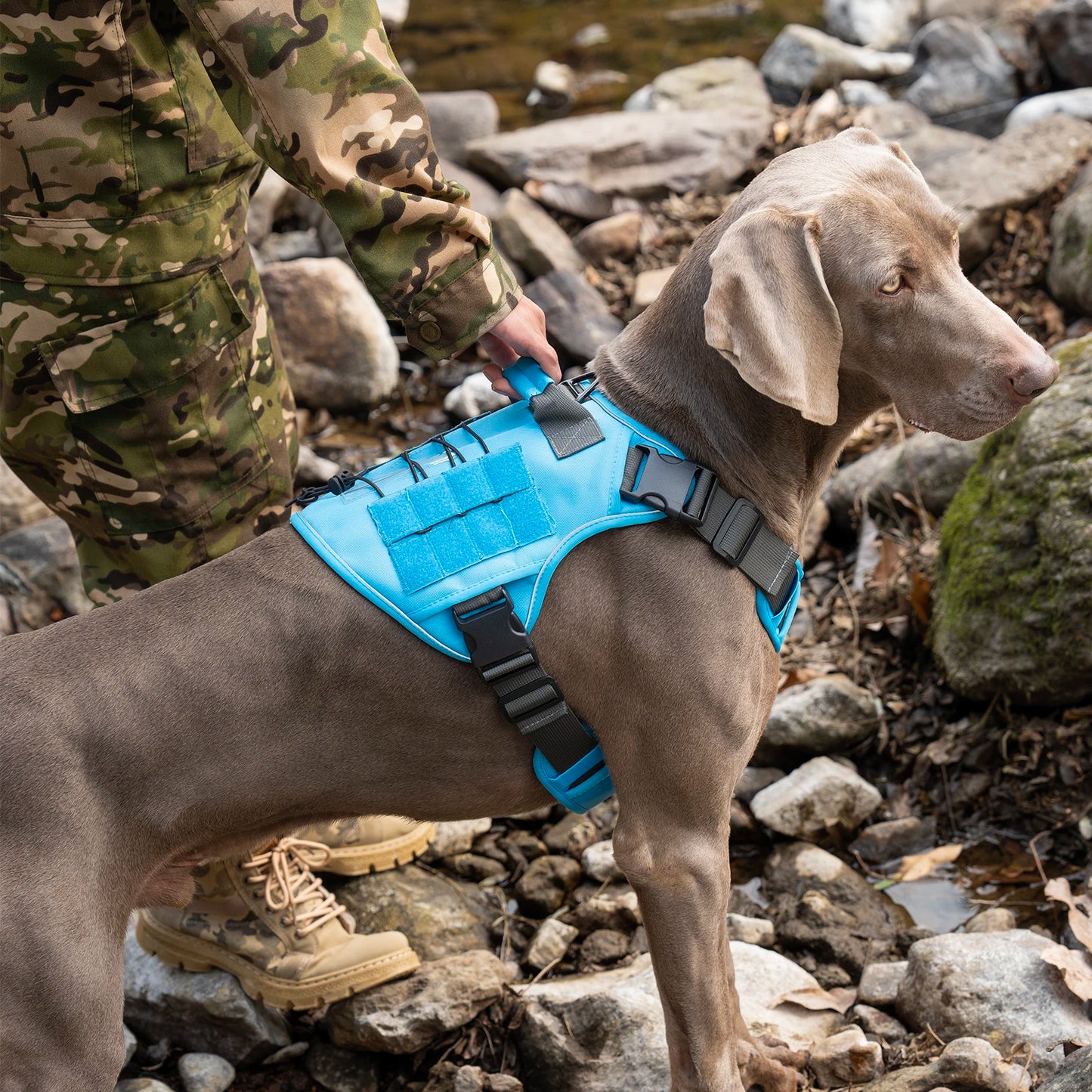 Tactical No-Pull Dog Harness — Reflective Adjustable Working & Training Vest for Small, Medium & Large Dogs
