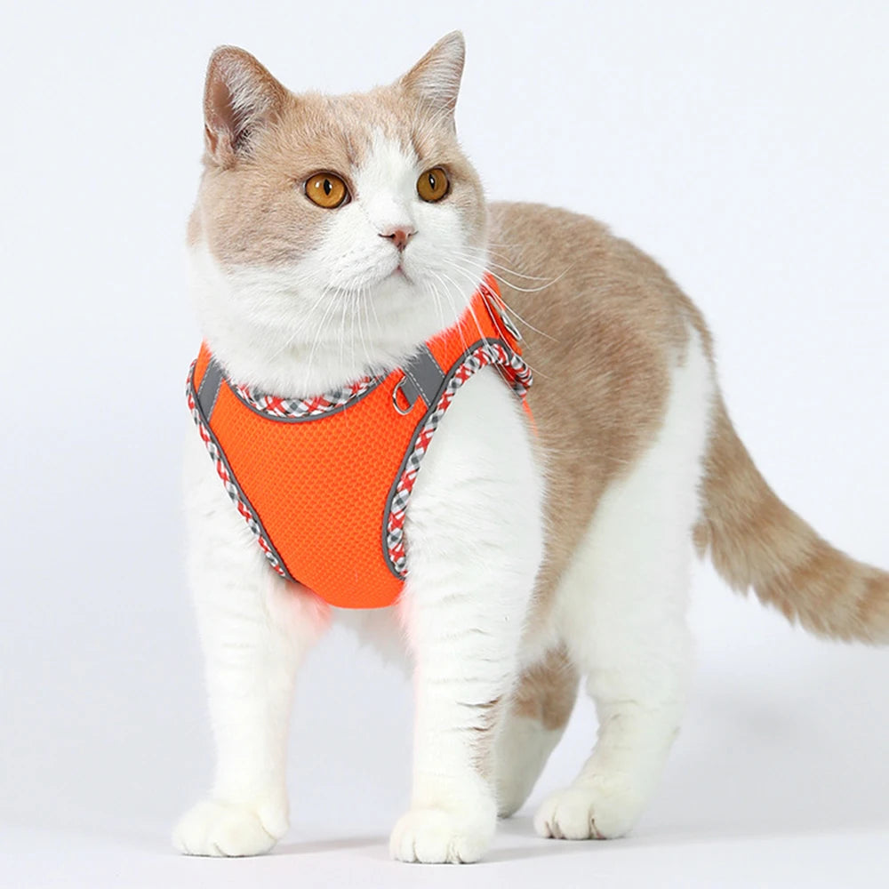 Reflective Mesh Harness & Leash Set for Cats & Small Dogs