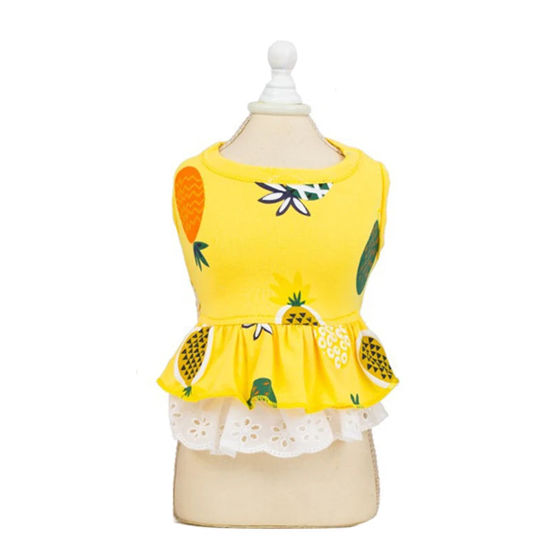 Cotton Print Dress for Cats & Small Dogs