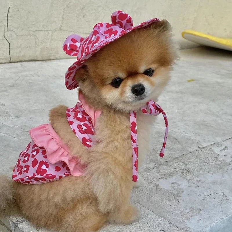 Dog Bikini & Swim Cap Set