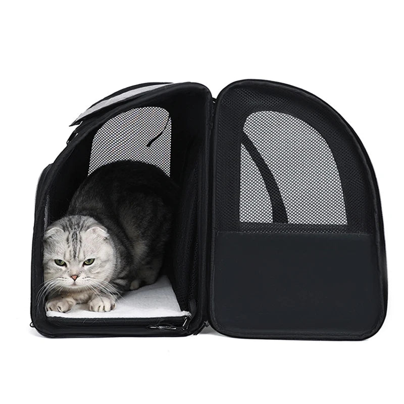 Sac à dos de transport extensible pour chat avec housse pare-soleil et maille respirante