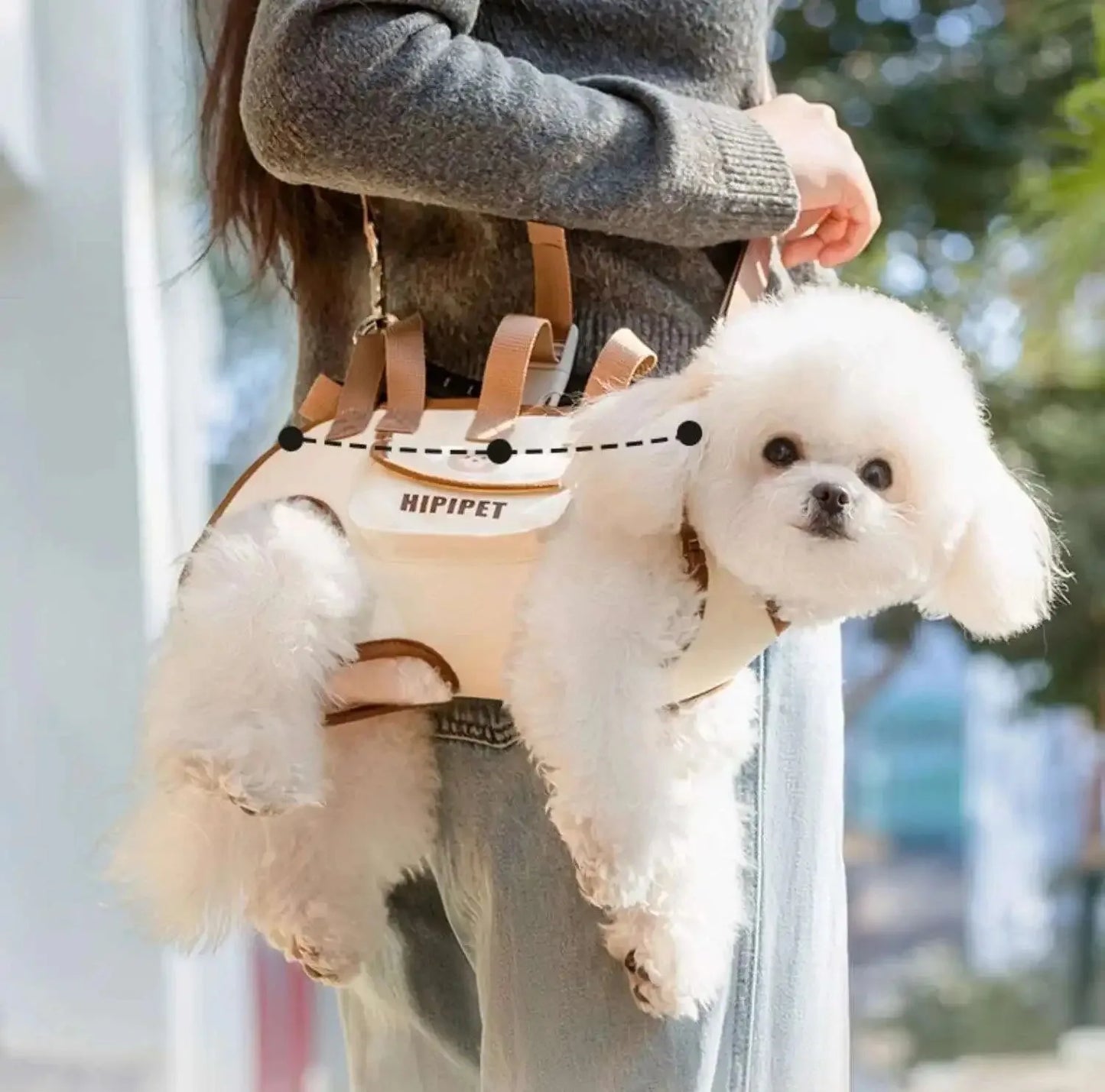 Sac de transport pour animaux de compagnie avec design de sac à dos