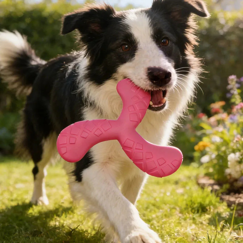 Indestructible EVA Boomerang Flying Disc & Chew Toy for Large Dogs