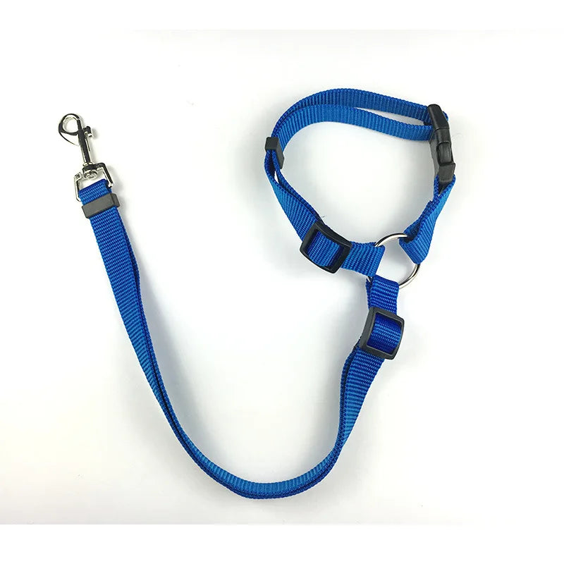 Harnais réglable et ceinture de sécurité pour chien