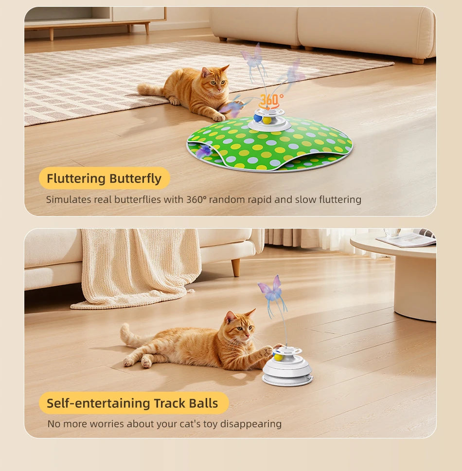 3-in-1 Interactive Cat Toy — Hide & Seek, Feather Chaser & Track Ball